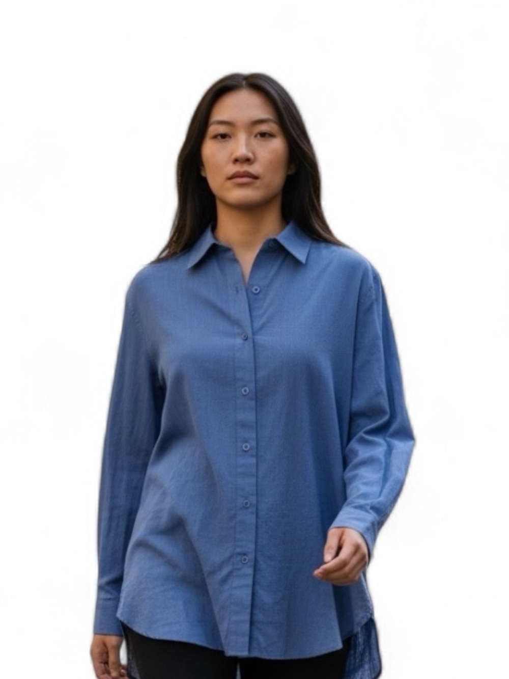 Foxcroft Wrinkle Free Shirt Top